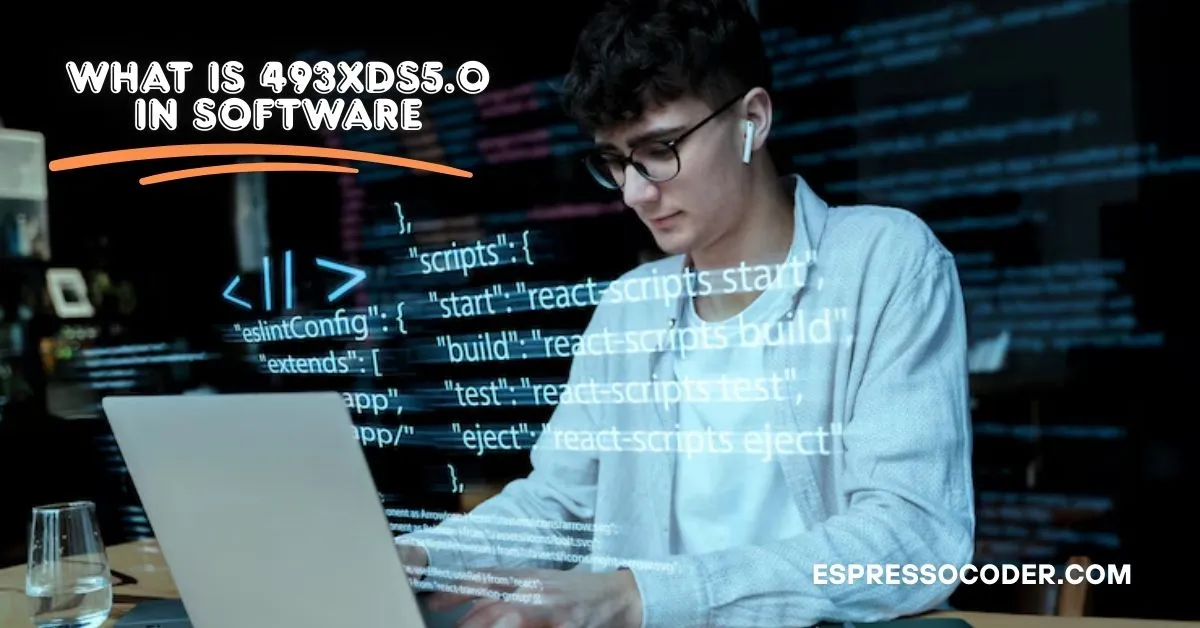 What Is 493XDS5.0 in Software? Explained Simply