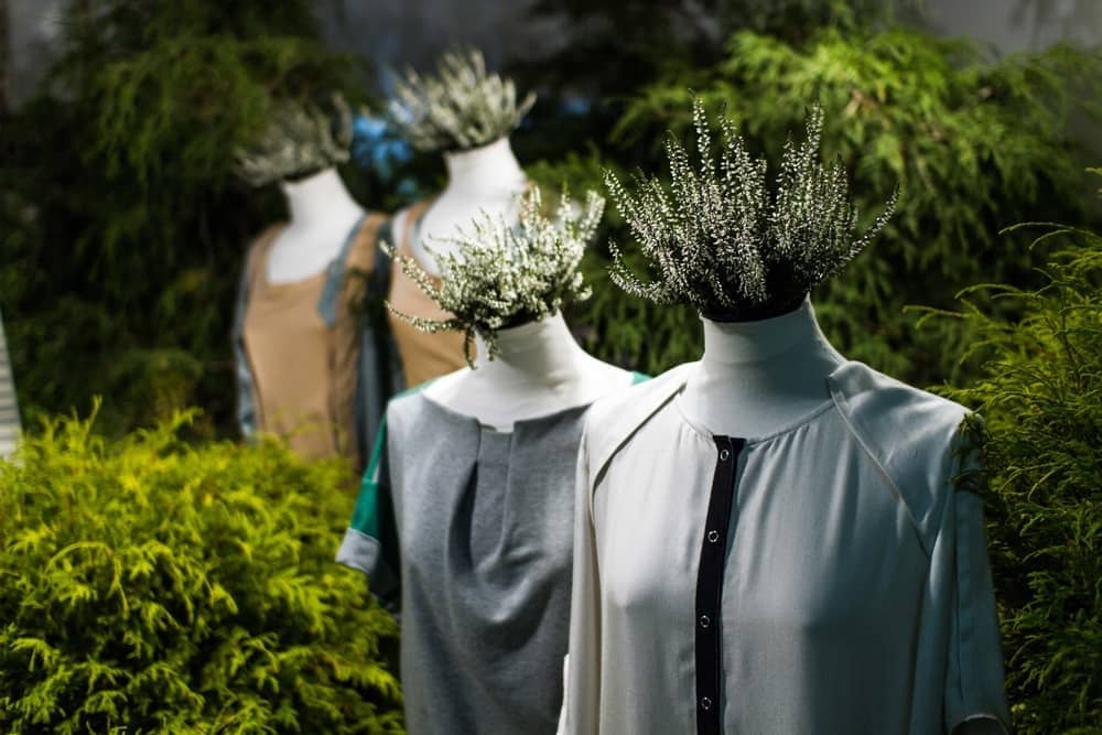 Fashionisk.com | Your Ultimate Style Hub for Trends, Tech, and Sustainability