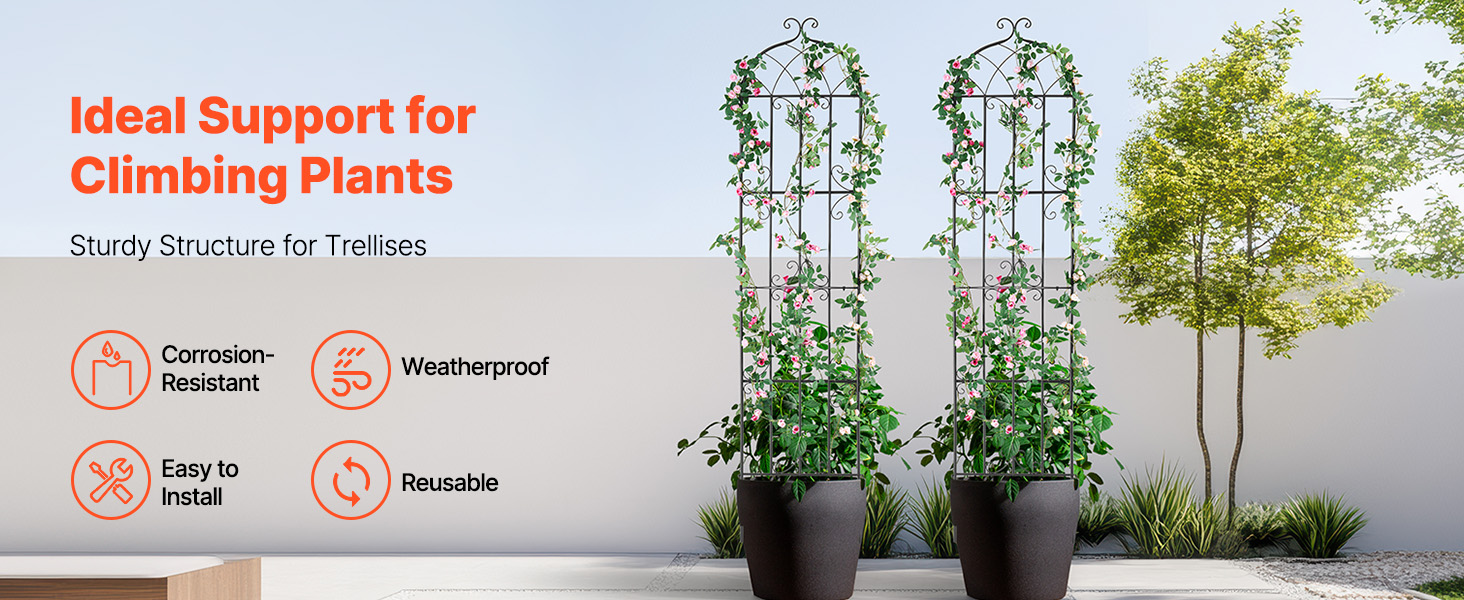 Elegant & Durable: Wrought Iron Trellis for Climbing Plants