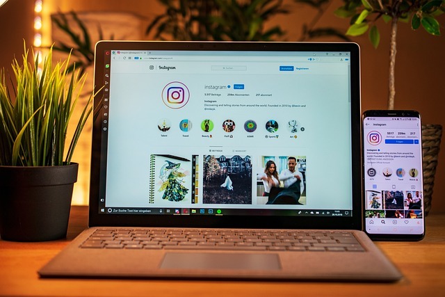 How to Use Picuki to View and Edit Instagram Photos Online