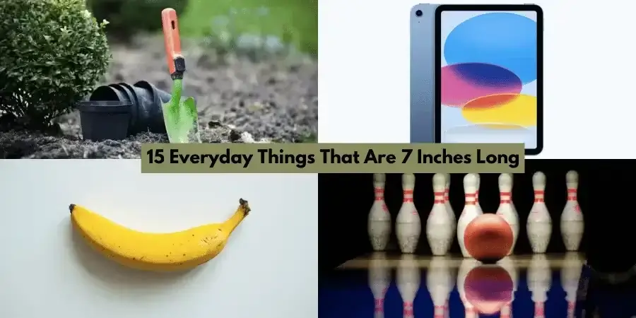 Understanding 7 Inches: A Practical Guide to Measuring and Visualizing Length