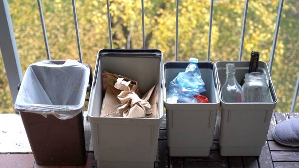 Top Local Bin Choices for Quick House Clear-Outs