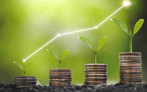 A Powerful Guide to Eco-Friendly Money Management