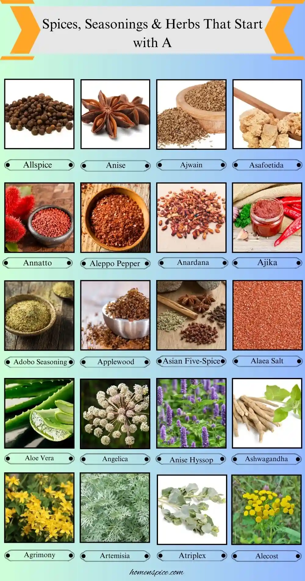 48ft3ajx Ingredient Explained & Analysis Guide